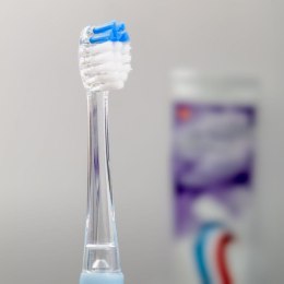 Soniczna szczoteczka do zębów Eldom SD50N