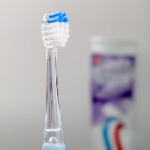 Soniczna szczoteczka do zębów Eldom SD50N Soniczna szczoteczka do zębów Eldom SD50N
