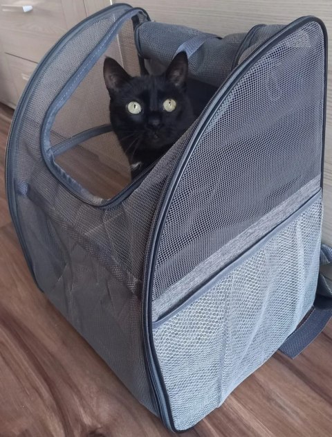 PLECAK TRANSPORTER TORBA DLA KOTA PSA Z SIATKI W PEŁNI WENTYLOWANY SKŁADANY