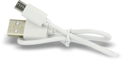 Akumulator 26650 Li-Ion 3,7V everActive 5200mAh micro USB (1 szt.) z zabezpieczeniem