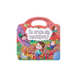 Co kryje się wewnątrz? AKSJOMAT