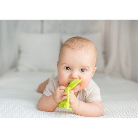 Gryz. usp. słoń limonka DUMEL