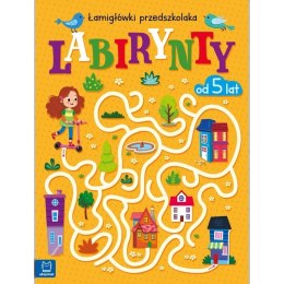 LABIRYNTY ŁAMIGŁÓWKI 5+