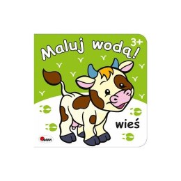 Maluj wodą wieś AWM WYDAWNICTWO