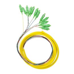 12X PIGTAIL SC/APC SM G657A GOLD zestaw 12x 2m