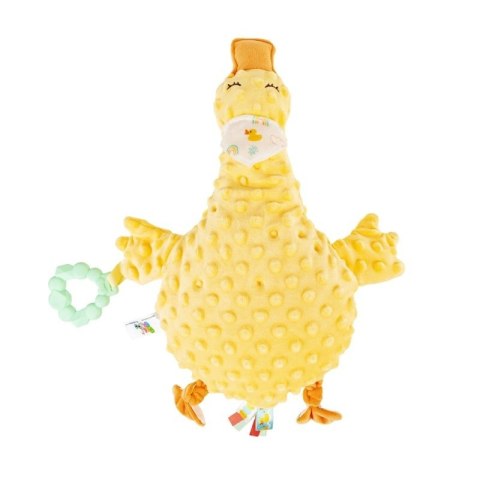 PRZYTULANKA KACZUSZKA