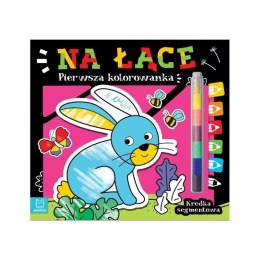 Pierwsza kolorowanka na łące AKSJOMAT