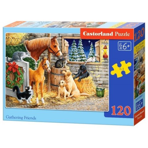 Puzzle 120el. gathering friend CASTOR Puzzle 120el. gathering friend CASTOR