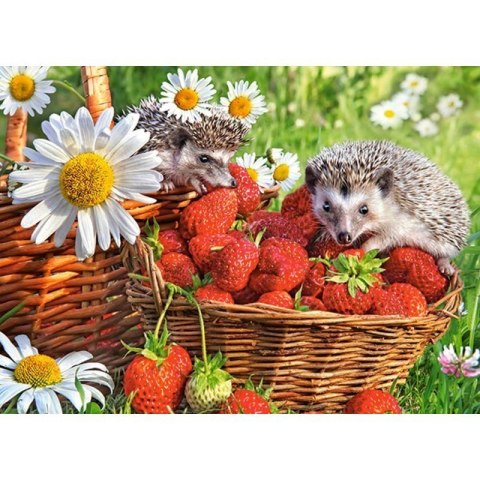 Puzzle 200 strawberry dessert CASTOR Puzzle 200 strawberry dessert CASTOR