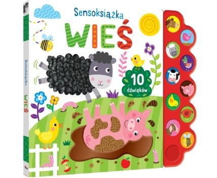 SENSOKSIĄŻKA WIEŚ