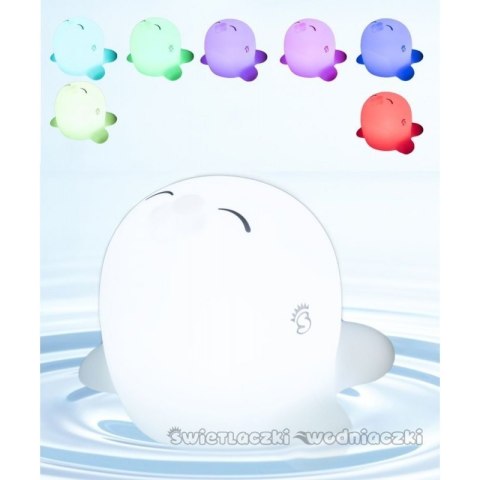 Świetlaczek fokusia mm052 MESCOMP