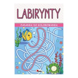 Zadania do kol. labirynty AWM WYDAWNICTWO