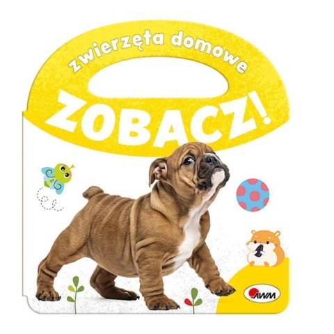 Zobacz zwierzęta domowe AWM WYDAWNICTWO