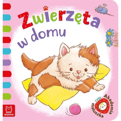 Zwierzęta w domu AKSJOMAT